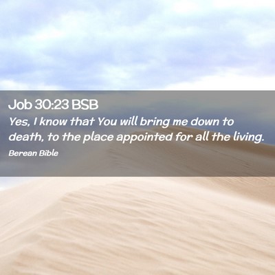 Picture 02 - Job 30:23 BSB - Yes, I know that You will bring me down to death, - Bible Verse Picture