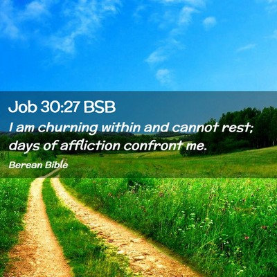 Picture 02 - Job 30:27 BSB - I am churning within and cannot rest; days of - Bible Verse Picture