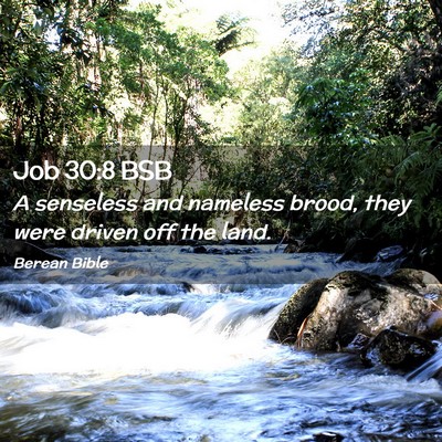 Picture 02 - Job 30:8 BSB - A senseless and nameless brood, they were driven - Bible Verse Picture