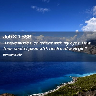 Picture 02 - Job 31:1 BSB - “I have made a covenant with my eyes. How then - Bible Verse Picture