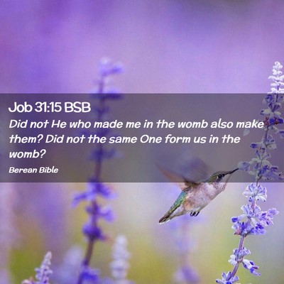 Picture 02 - Job 31:15 BSB - Did not He who made me in the womb also make - Bible Verse Picture