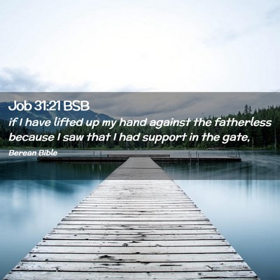Picture 02 - Job 31:21 BSB - if I have lifted up my hand against the - Bible Verse Picture