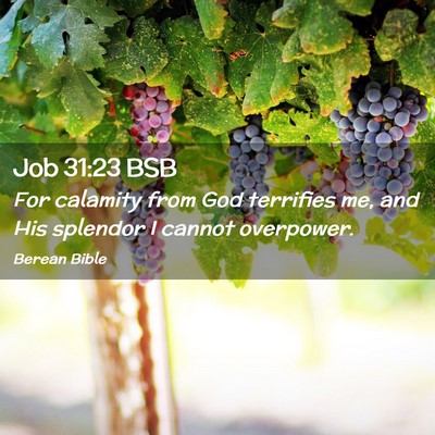 Picture 02 - Job 31:23 BSB - For calamity from God terrifies me, and His - Bible Verse Picture