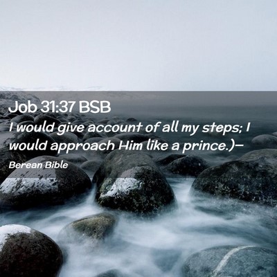 Picture 02 - Job 31:37 BSB - I would give account of all my steps; I would - Bible Verse Picture