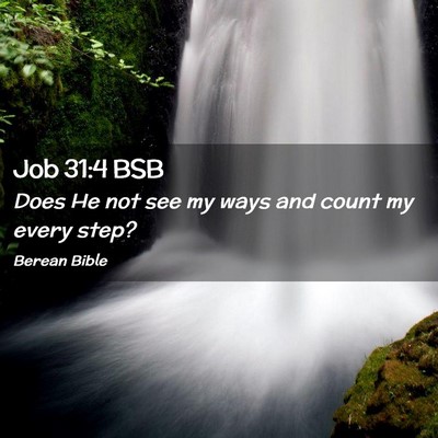 Picture 02 - Job 31:4 BSB - Does He not see my ways and count my every - Bible Verse Picture