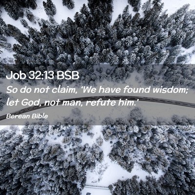 Picture 02 - Job 32:13 BSB - So do not claim, ‘We have found wisdom; let - Bible Verse Picture