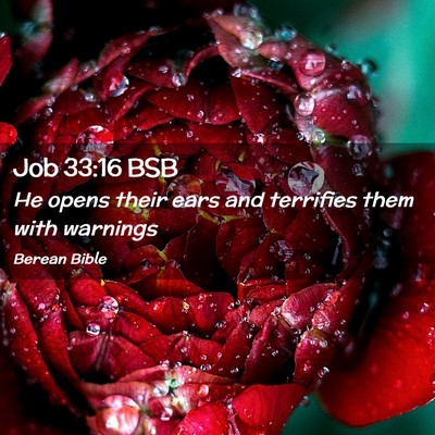Picture 02 - Job 33:16 BSB - He opens their ears and terrifies them with - Bible Verse Picture