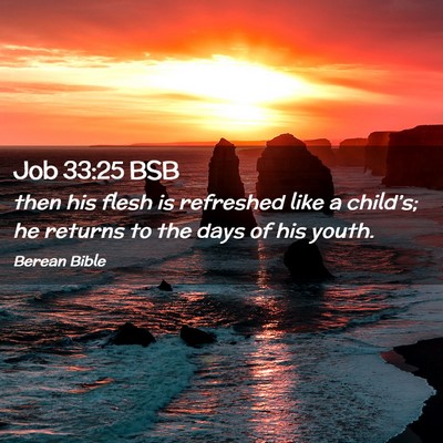 Picture 02 - Job 33:25 BSB - then his flesh is refreshed like a child’s; he - Bible Verse Picture