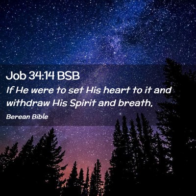 Picture 02 - Job 34:14 BSB - If He were to set His heart to it and withdraw - Bible Verse Picture