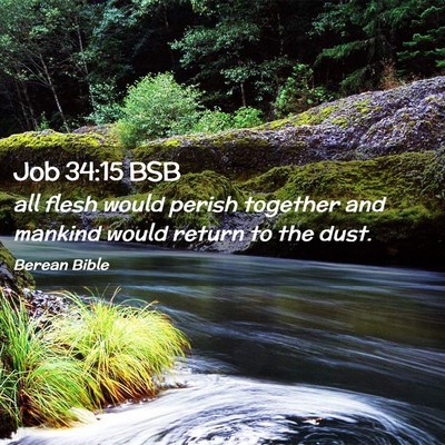 Picture 02 - Job 34:15 BSB - all flesh would perish together and mankind would - Bible Verse Picture
