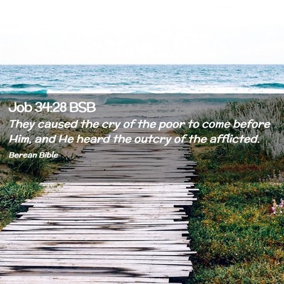 Picture 02 - Job 34:28 BSB - They caused the cry of the poor to come before - Bible Verse Picture