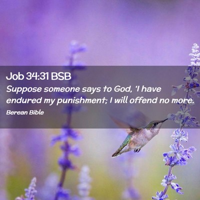 Picture 02 - Job 34:31 BSB - Suppose someone says to God, ‘I have endured my - Bible Verse Picture