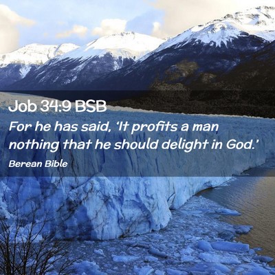 Picture 02 - Job 34:9 BSB - For he has said, ‘It profits a man nothing that - Bible Verse Picture