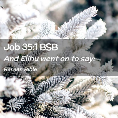 Picture 02 - Job 35:1 BSB - And Elihu went on to - Bible Verse Picture