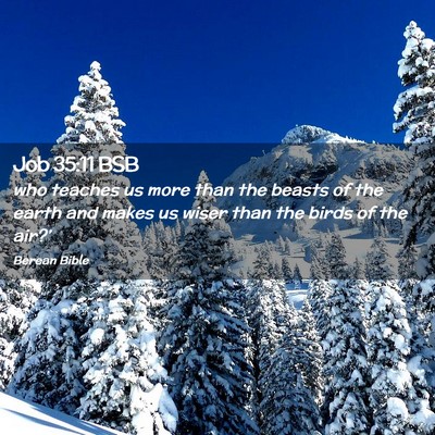 Picture 02 - Job 35:11 BSB - who teaches us more than the beasts of the earth - Bible Verse Picture