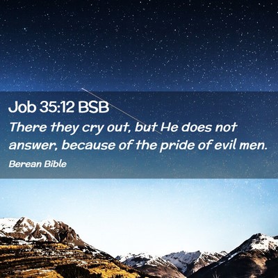Picture 02 - Job 35:12 BSB - There they cry out, but He does not answer, - Bible Verse Picture