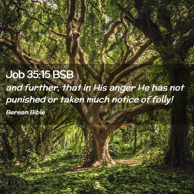 Picture 02 - Job 35:15 BSB - and further, that in His anger He has not - Bible Verse Picture