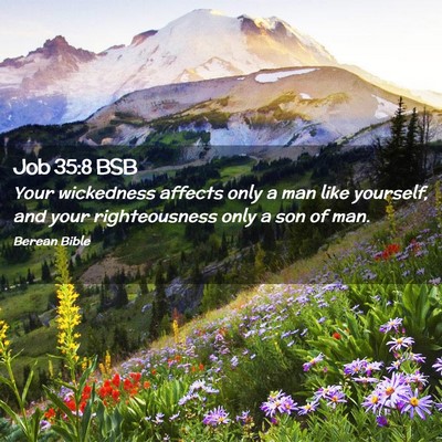 Picture 02 - Job 35:8 BSB - Your wickedness affects only a man like yourself, - Bible Verse Picture