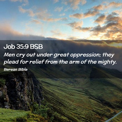 Picture 02 - Job 35:9 BSB - Men cry out under great oppression; they plead - Bible Verse Picture