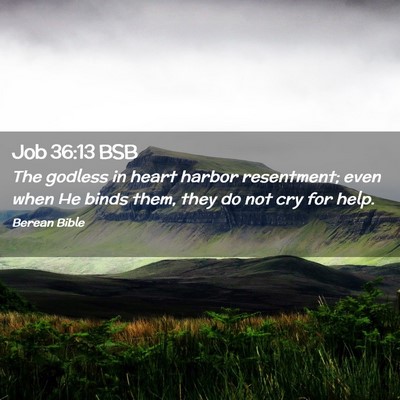 Picture 02 - Job 36:13 BSB - The godless in heart harbor resentment; even when - Bible Verse Picture