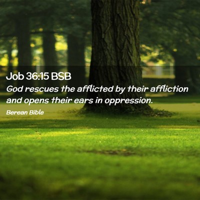 Picture 02 - Job 36:15 BSB - God rescues the afflicted by their affliction and - Bible Verse Picture