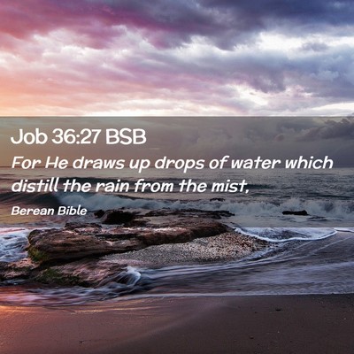 Picture 02 - Job 36:27 BSB - For He draws up drops of water which distill the - Bible Verse Picture