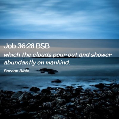 Picture 02 - Job 36:28 BSB - which the clouds pour out and shower abundantly - Bible Verse Picture