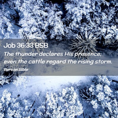 Picture 02 - Job 36:33 BSB - The thunder declares His presence; even the - Bible Verse Picture