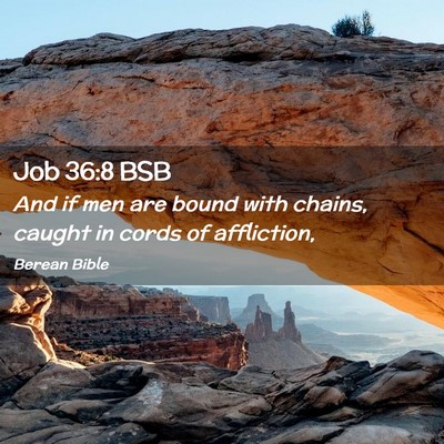 Picture 02 - Job 36:8 BSB - And if men are bound with chains, caught in cords - Bible Verse Picture