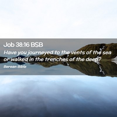 Picture 02 - Job 38:16 BSB - Have you journeyed to the vents of the sea or - Bible Verse Picture
