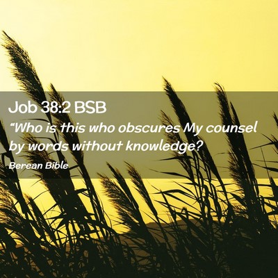 Picture 02 - Job 38:2 BSB - “Who is this who obscures My counsel by words - Bible Verse Picture
