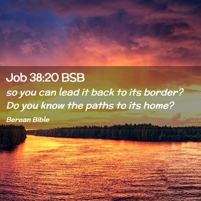 Picture 02 - Job 38:20 BSB - so you can lead it back to its border? Do you - Bible Verse Picture
