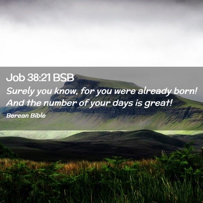 Picture 02 - Job 38:21 BSB - Surely you know, for you were already born! And - Bible Verse Picture