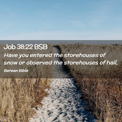 Picture 02 - Job 38:22 BSB - Have you entered the storehouses of snow or - Bible Verse Picture