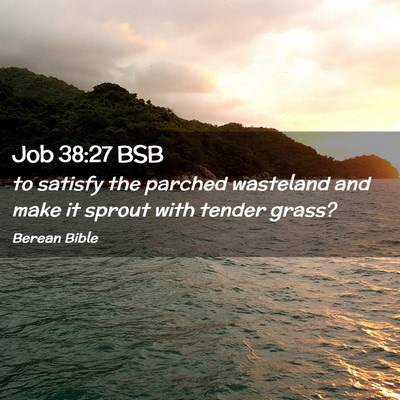 Picture 02 - Job 38:27 BSB - to satisfy the parched wasteland and make it - Bible Verse Picture