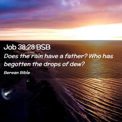 Picture 02 - Job 38:28 BSB - Does the rain have a father? Who has begotten the - Bible Verse Picture