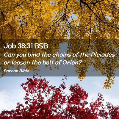 Picture 02 - Job 38:31 BSB - Can you bind the chains of the Pleiades or loosen - Bible Verse Picture
