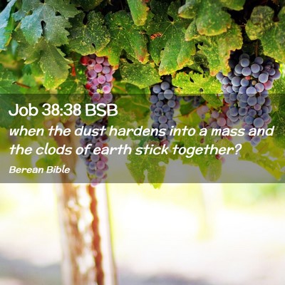 Picture 02 - Job 38:38 BSB - when the dust hardens into a mass and the clods - Bible Verse Picture