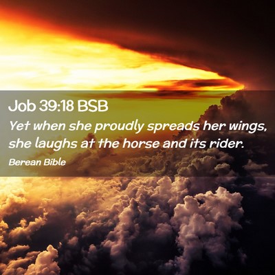 Picture 02 - Job 39:18 BSB - Yet when she proudly spreads her wings, she - Bible Verse Picture