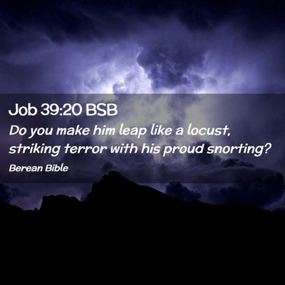 Picture 02 - Job 39:20 BSB - Do you make him leap like a locust, striking - Bible Verse Picture