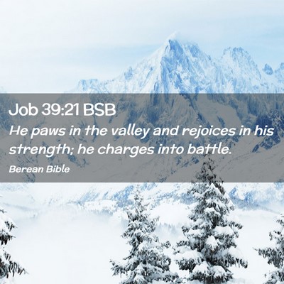 Picture 02 - Job 39:21 BSB - He paws in the valley and rejoices in his - Bible Verse Picture