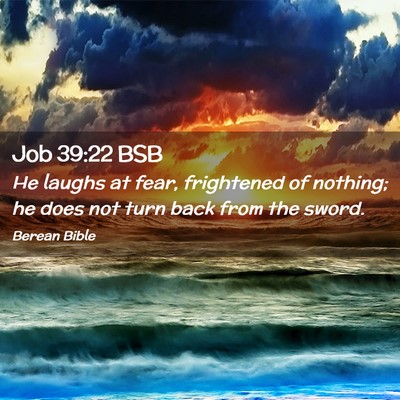 Picture 02 - Job 39:22 BSB - He laughs at fear, frightened of nothing; he does - Bible Verse Picture