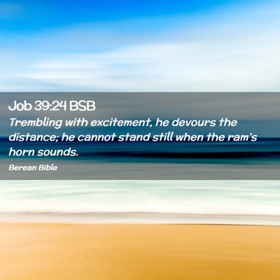 Picture 02 - Job 39:24 BSB - Trembling with excitement, he devours the - Bible Verse Picture