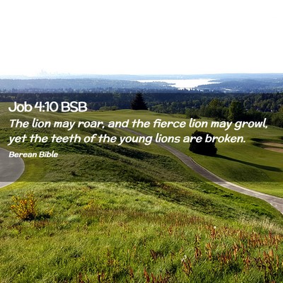 Picture 02 - Job 4:10 BSB - The lion may roar, and the fierce lion may growl, - Bible Verse Picture