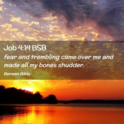 Picture 02 - Job 4:14 BSB - fear and trembling came over me and made all my - Bible Verse Picture