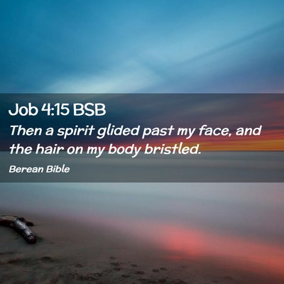 Picture 02 - Job 4:15 BSB - Then a spirit glided past my face, and the hair - Bible Verse Picture