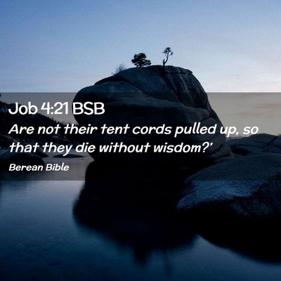 Picture 02 - Job 4:21 BSB - Are not their tent cords pulled up, so that they - Bible Verse Picture