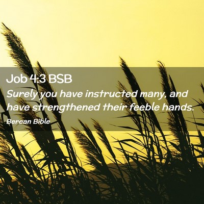 Picture 02 - Job 4:3 BSB - Surely you have instructed many, and have - Bible Verse Picture
