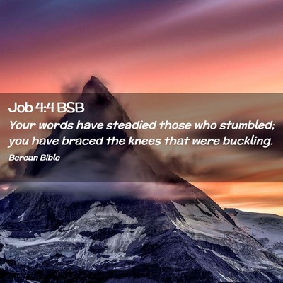 Picture 02 - Job 4:4 BSB - Your words have steadied those who stumbled; you - Bible Verse Picture