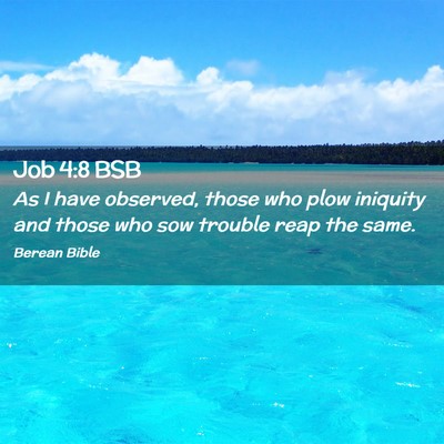 Picture 02 - Job 4:8 BSB - As I have observed, those who plow iniquity and - Bible Verse Picture